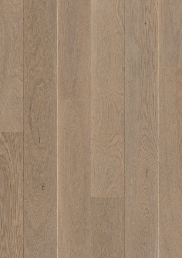 Quickstep Palazzo PAL3093