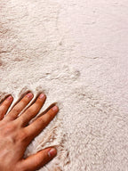 שטיח אניס 756 ורוד | ANISE