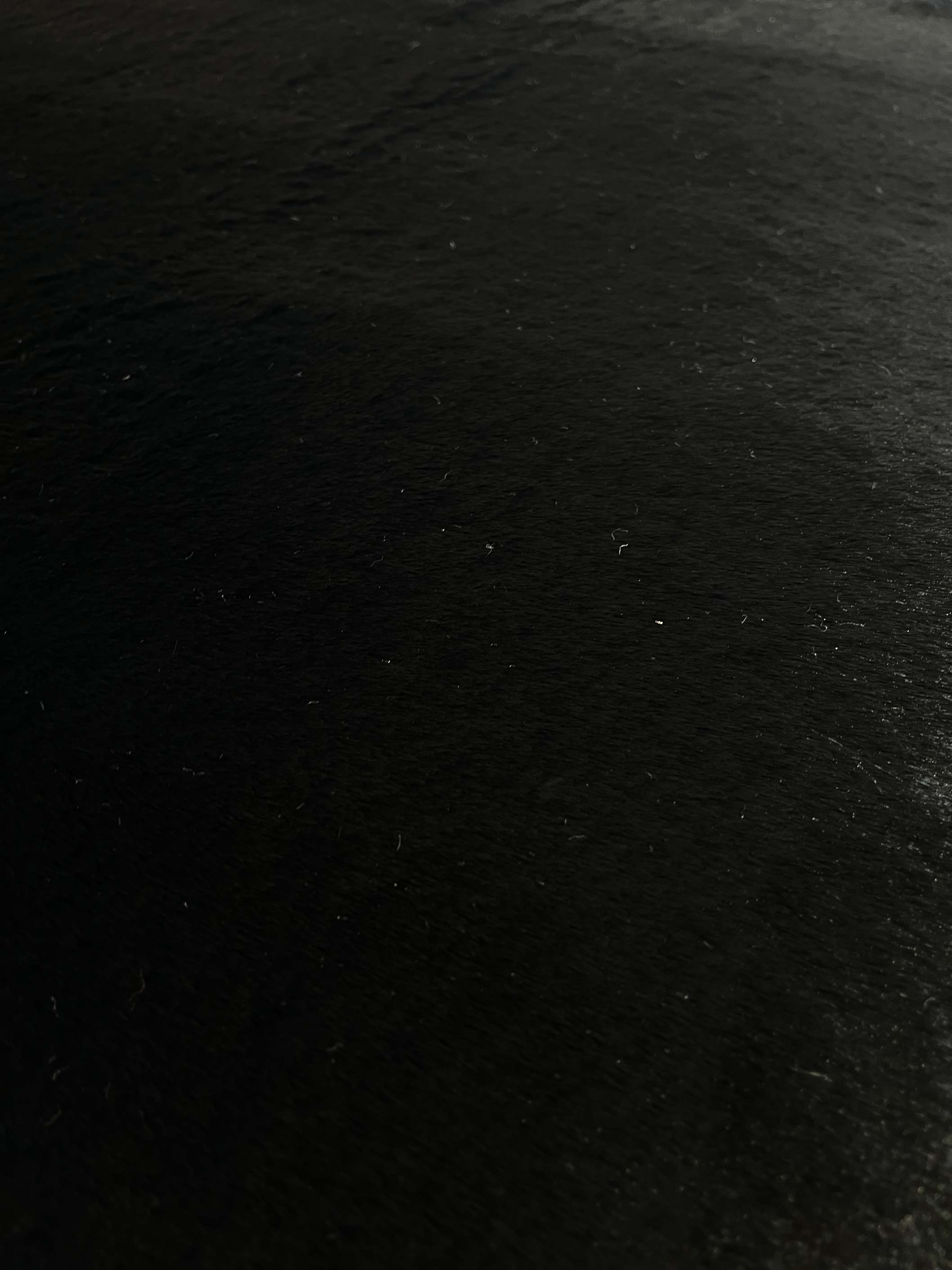 Anise 756 black carpet | ANISE