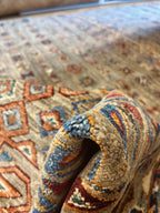 שטיח אריאנה 651 צבעוני 240*176 | ARIANA