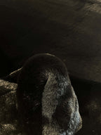 Anise 756 black carpet | ANISE