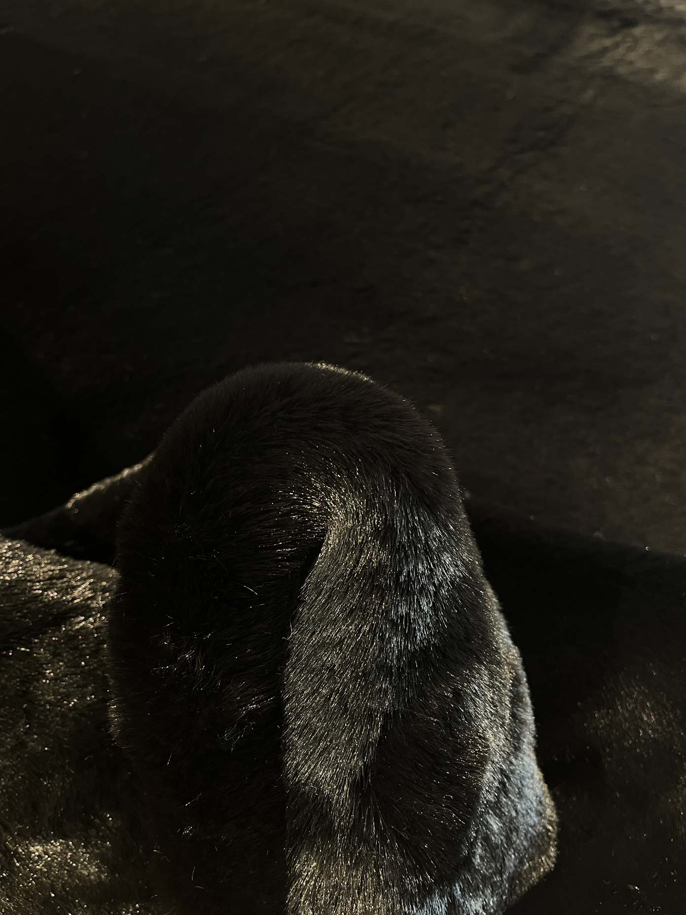 Anise 756 black carpet | ANISE