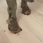 Palazzo Glacial Oak Extra Matte 3787 Quickstep Palazzo