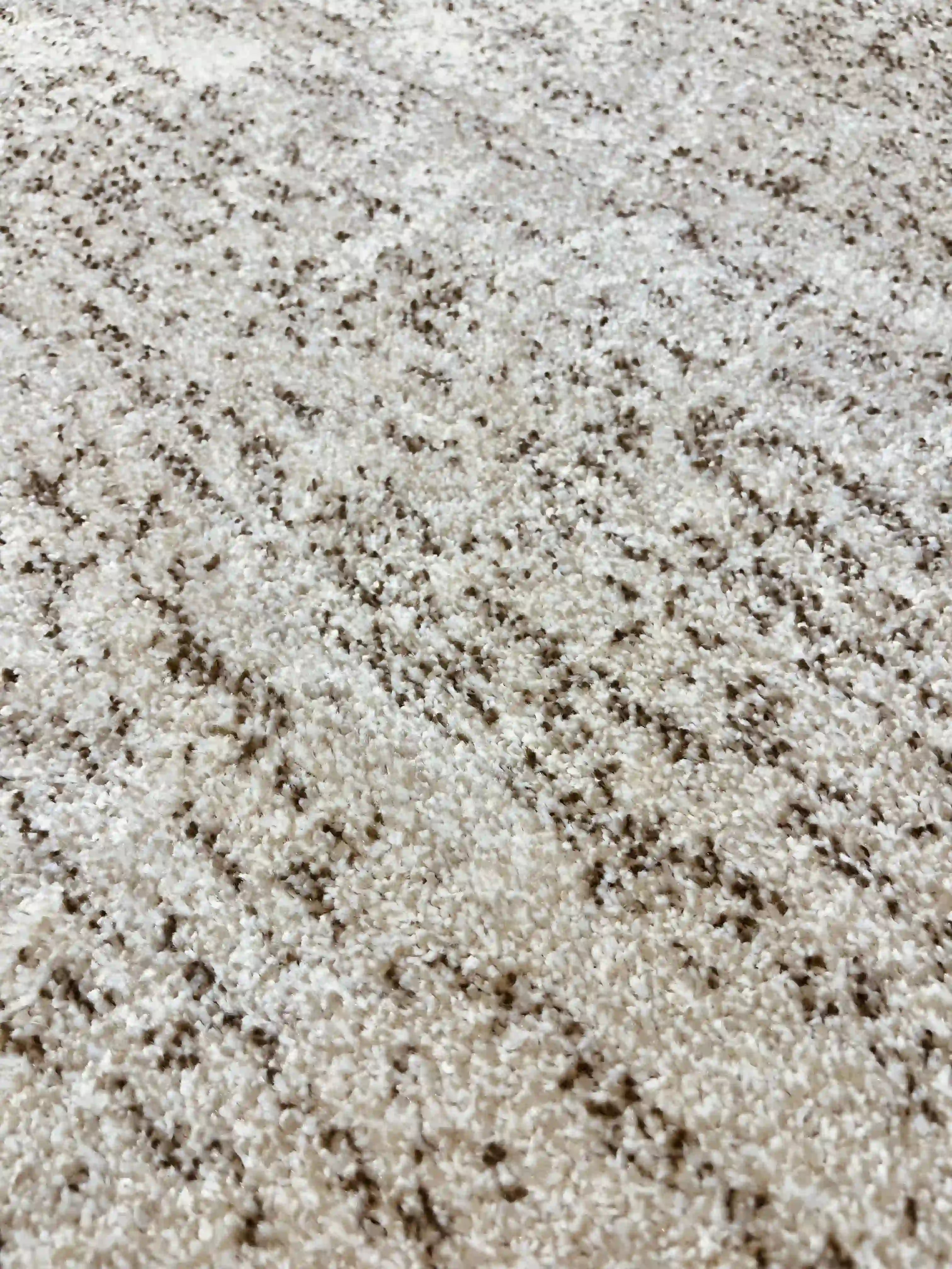 Basic 456 03 Beige Plain Carpet | BASIC