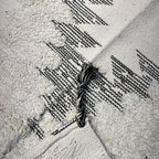 Panda Kilim Carpet 801 PANDA