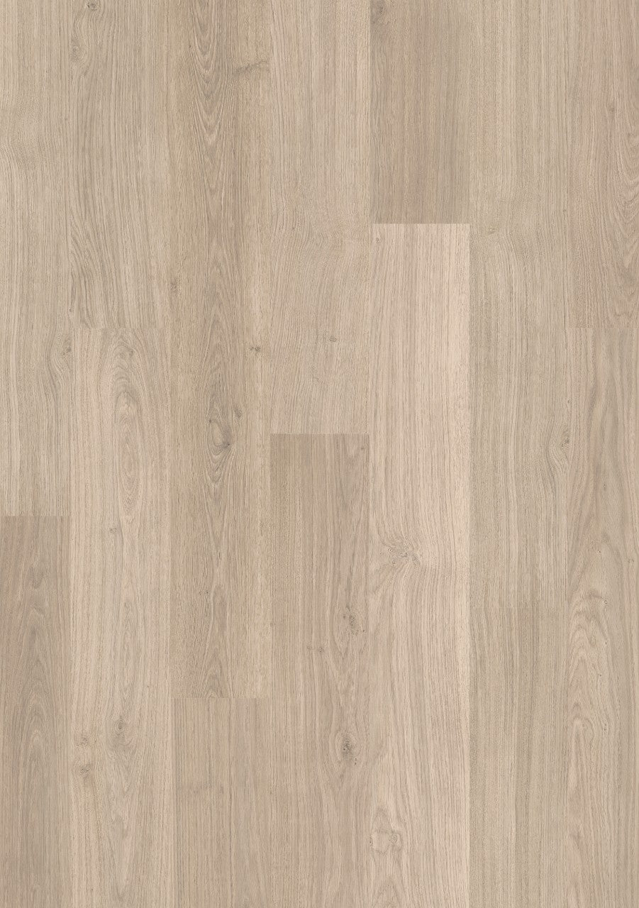 Laminate flooring Eligna Light grey varnished oak 1304