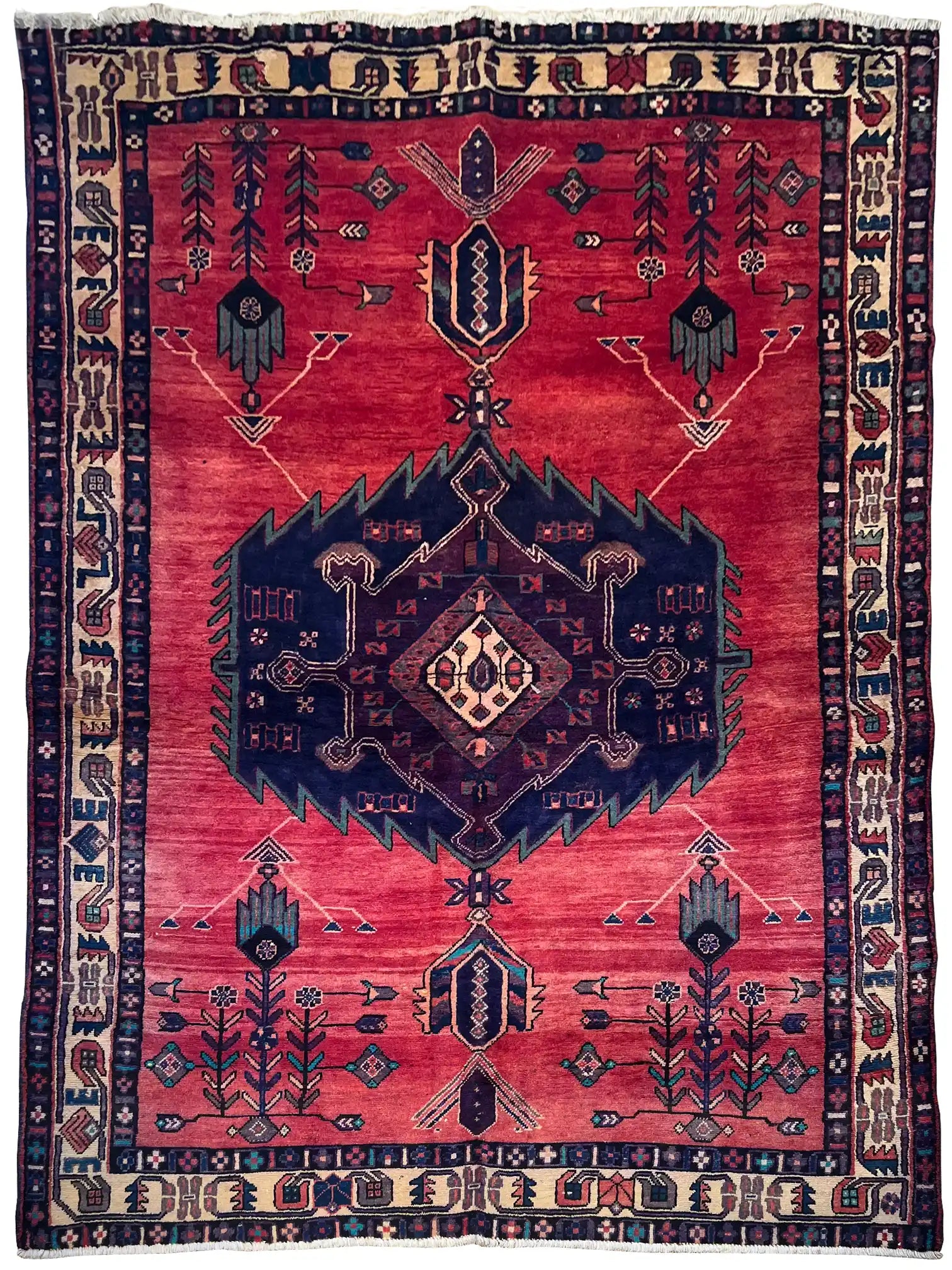 שטיח פרידיאן 903 01 צבעוני 245*165 | FRIDIAN