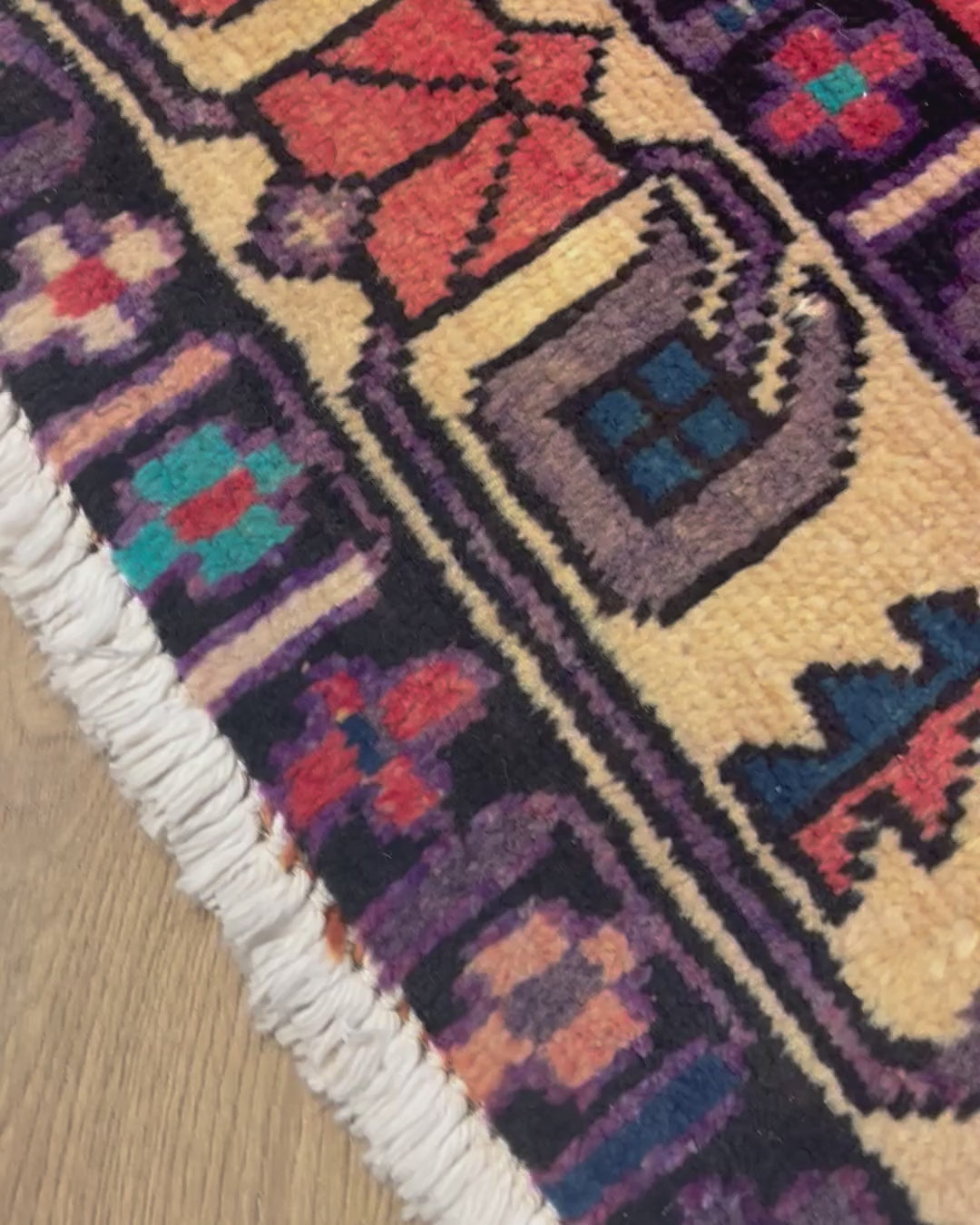 שטיח פרידיאן 903 01 צבעוני 245*165 | FRIDIAN